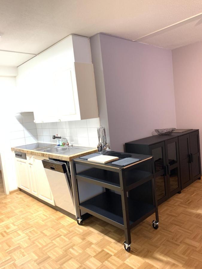 Xl City Center Apartment-Contactless Check-In Basel Eksteriør bilde